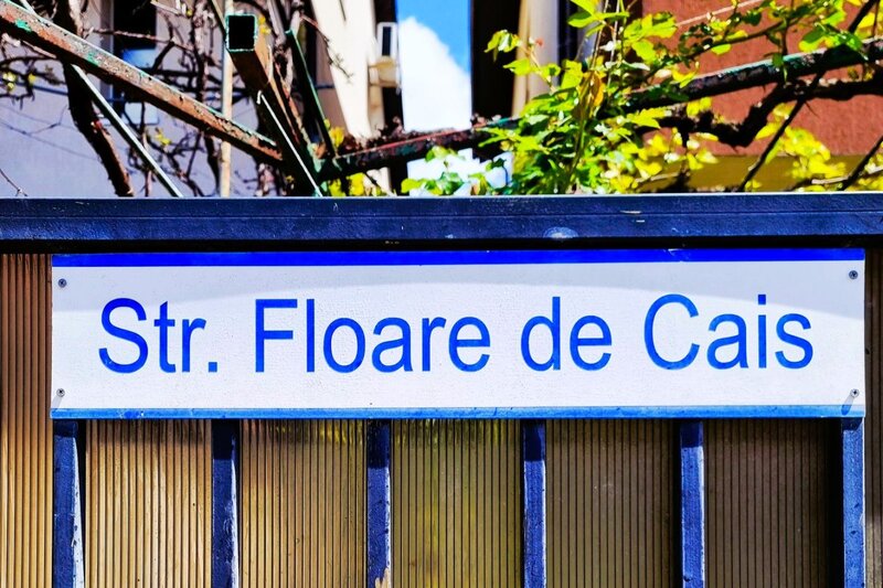 Otopeni, central str. Floare de Cais Ilfov, in plan secund retras de la DN1